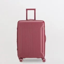 Trolley M - Rigido - Flexitech